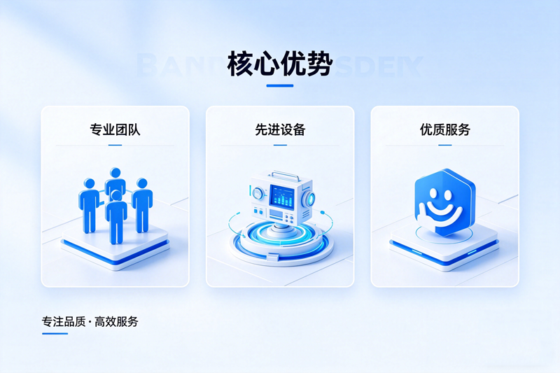 核心优势